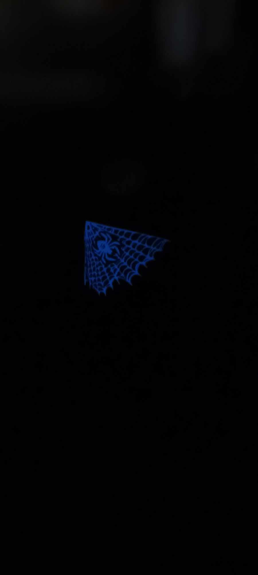 Toile araignée (adulte)