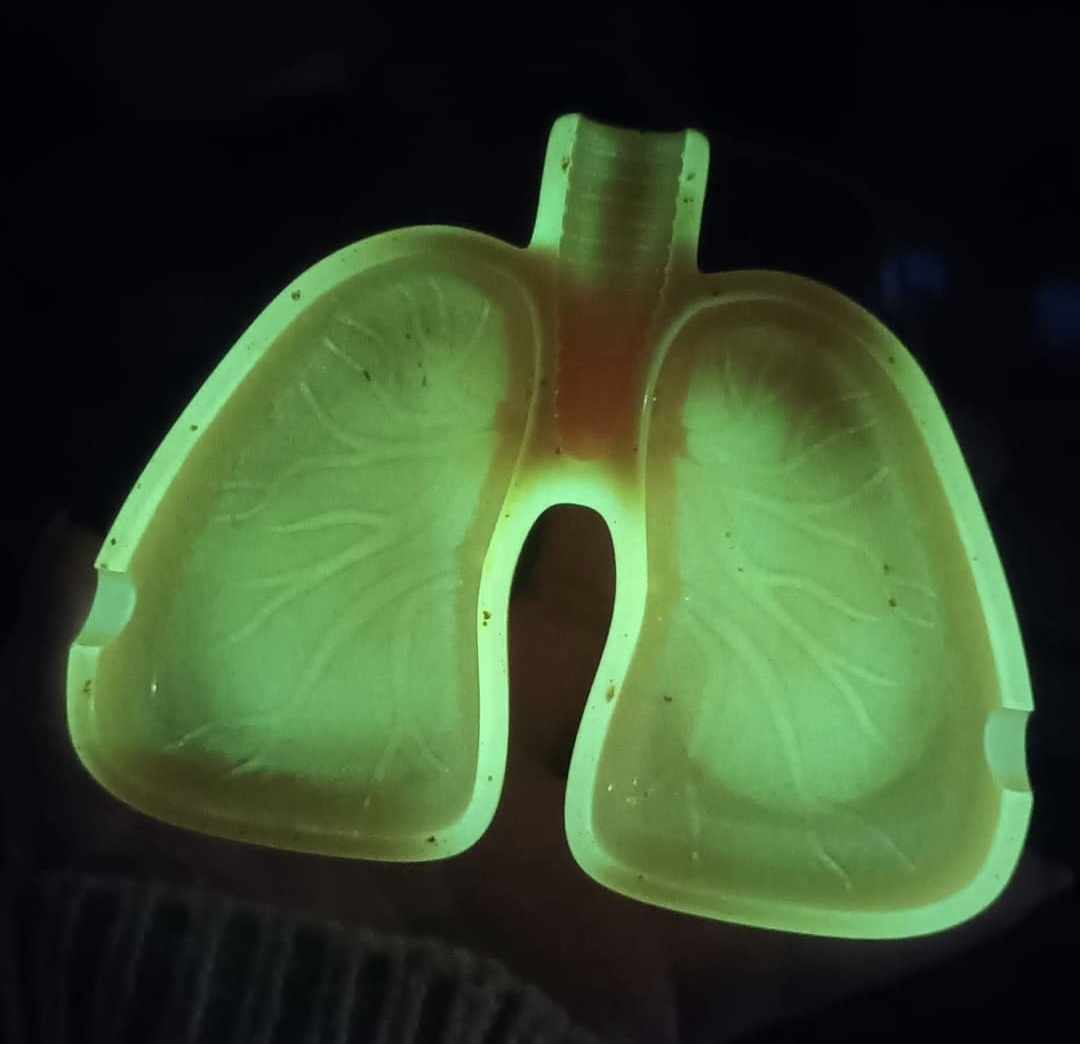 Cendrier poumons personnalisé